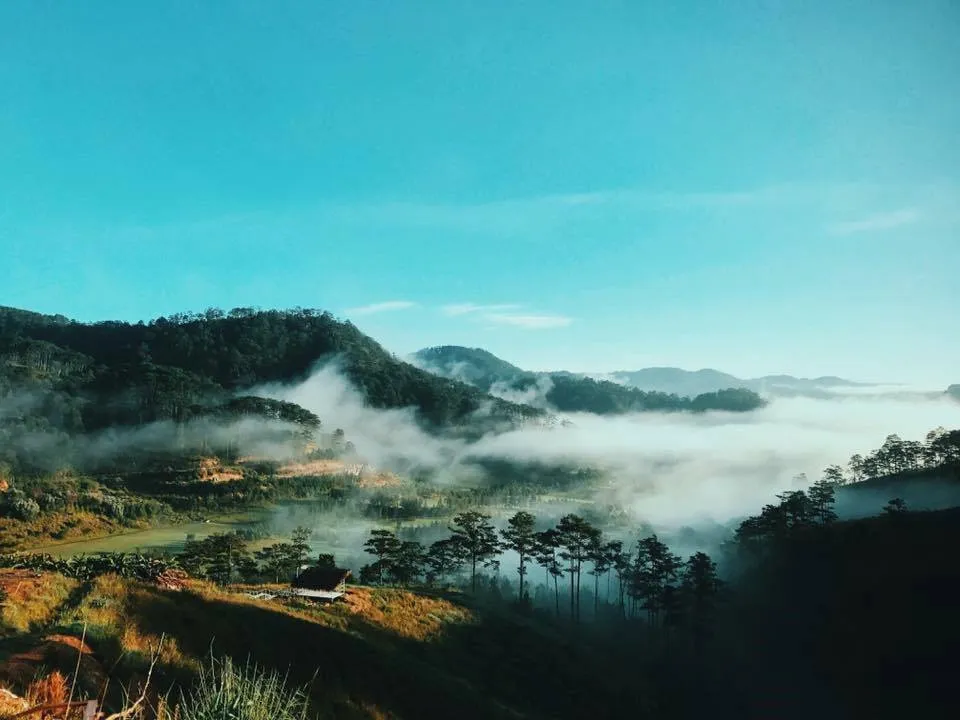 10 lý do "không nên" đi du lịch Đà Lạt tháng 11