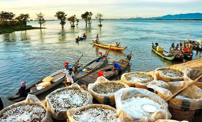 "Bật mí" 5 kinh nghiệm đi du lịch phượt Miền Tây đầy đủ và chi tiết nhất