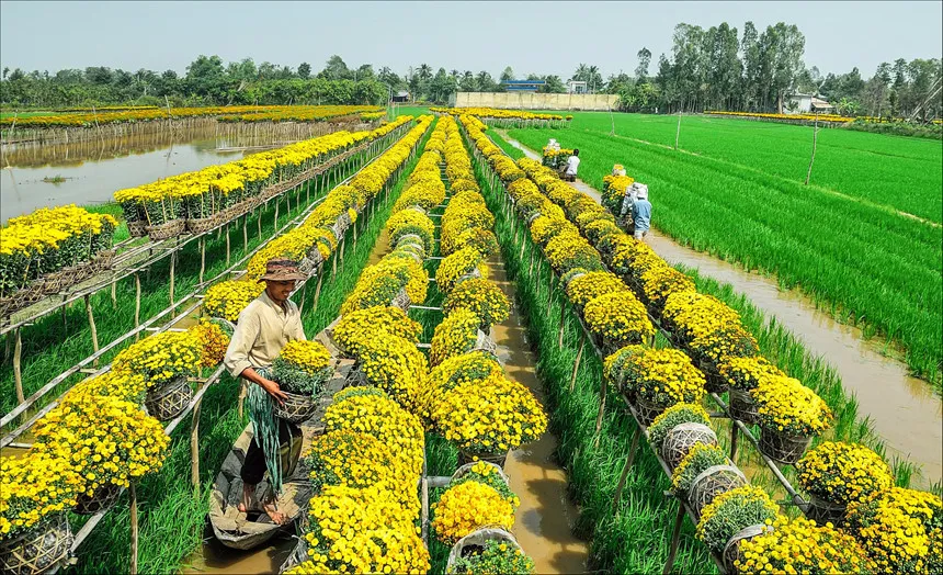 "Bật mí bí kíp" du lịch phượt miền Tây nên đi đâu? Du khách đã biết chưa?