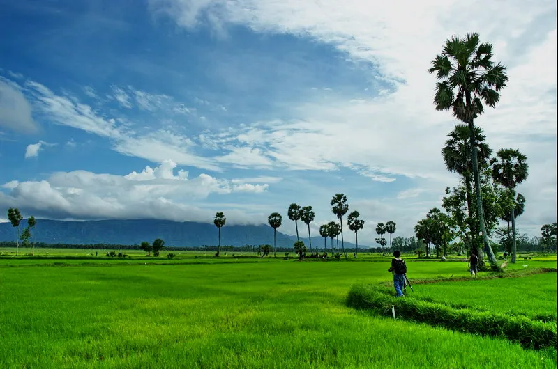 "Bật mí" Du Lịch Châu Đốc An Giang Nên Mua Gì Làm Quà?