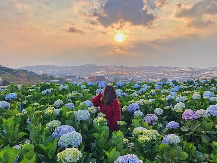 "Bật mí" Du lịch Đà Lạt mùa hè tại sao không?