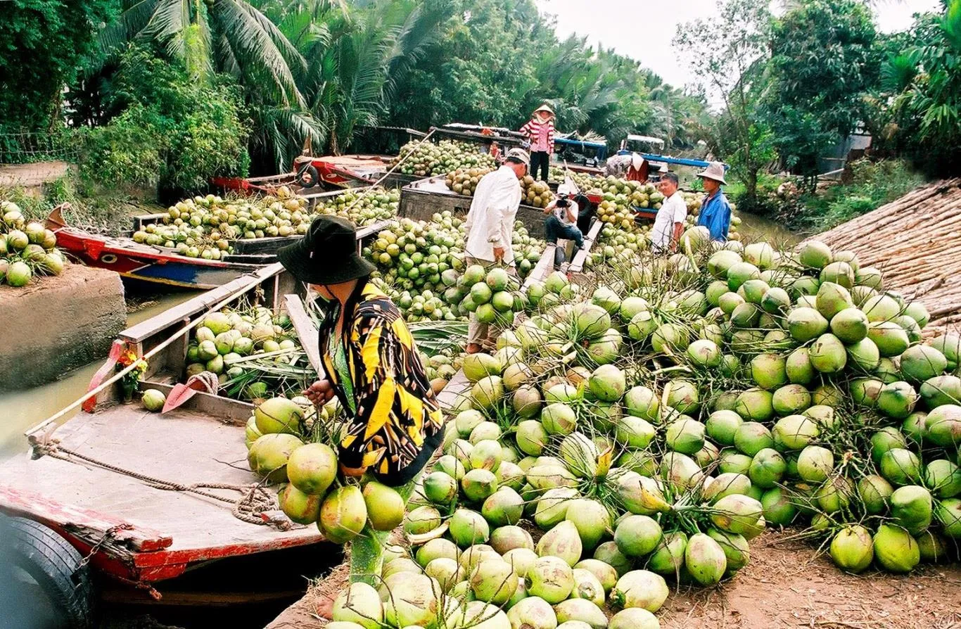 "Bật mí" những cẩm nang đi du lịch Bến Tre cho những ai cần