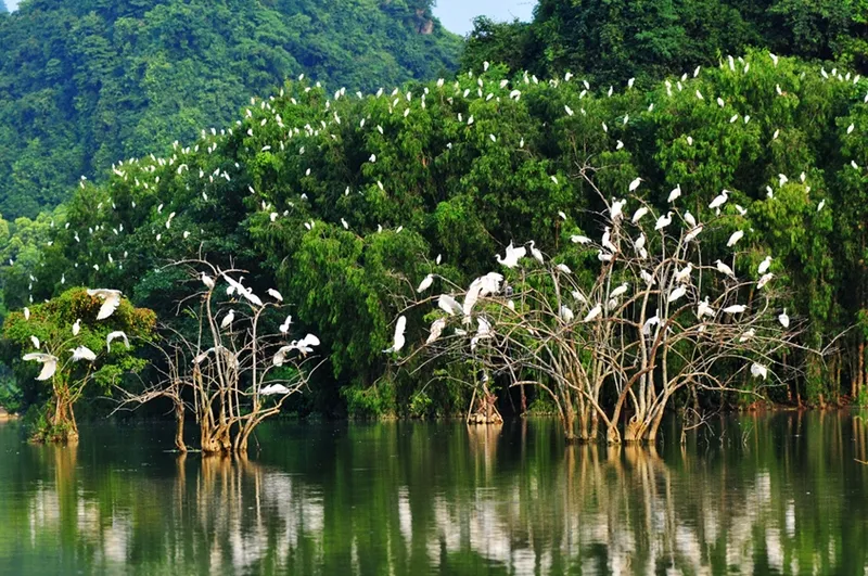 "Bật mí" những cẩm nang đi du lịch Bến Tre cho những ai cần