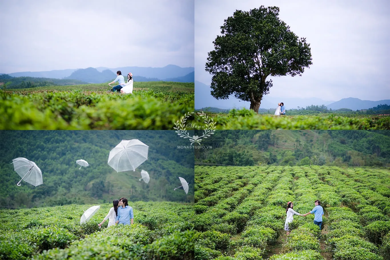 "Bật mí" những địa điểm chụp ảnh cưới đẹp ở Đà Lạt