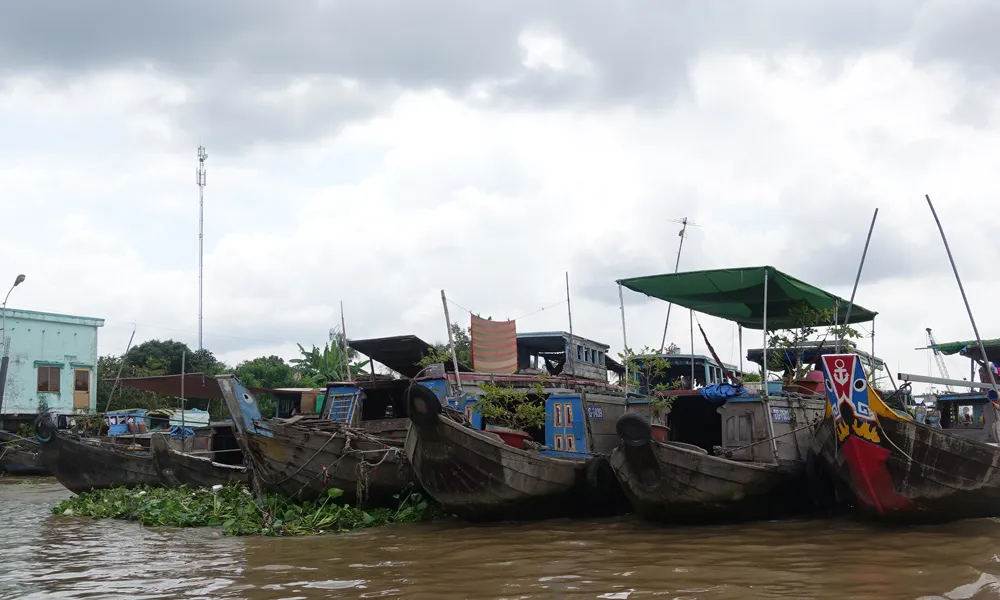 "Bật mí" thông tin có bao nhiêu chợ Nổi ở Miền Tây?