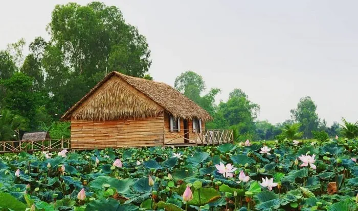 "Bật mí" thông tin Đi du lịch Đồng Tháp có gì chơi?