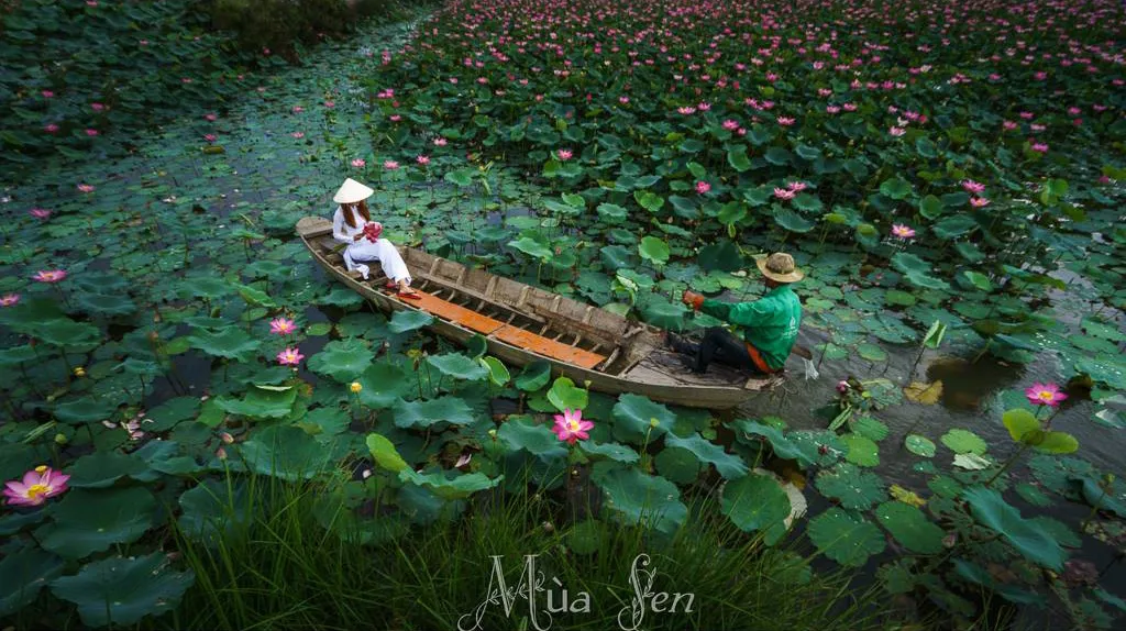 "Bật mí" thông tin Đi du lịch Đồng Tháp có gì chơi?