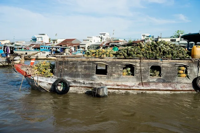 "Bật mí" TOP 6 cẩm nang đi du lịch Miền Tây chất như quả đất