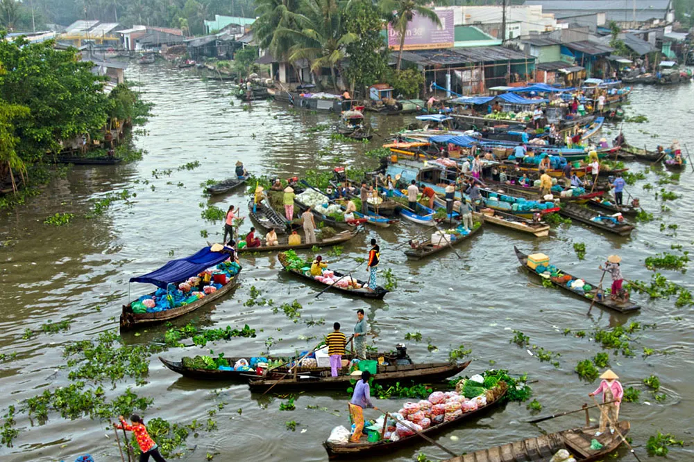 "Bật mí" TOP 7 địa điểm du lịch gần Cần Thơ phải ghé một lần