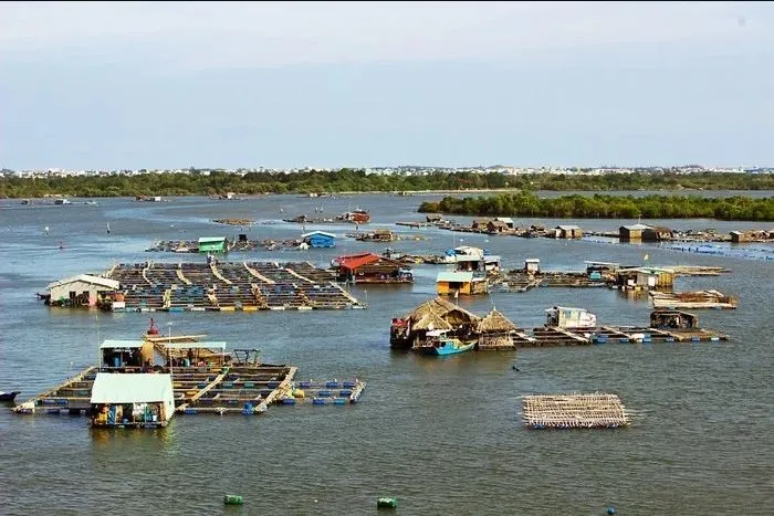 Bến du thuyền Marina ở Vũng Tàu - Điểm chụp ảnh “ảo diệu” ít người biết