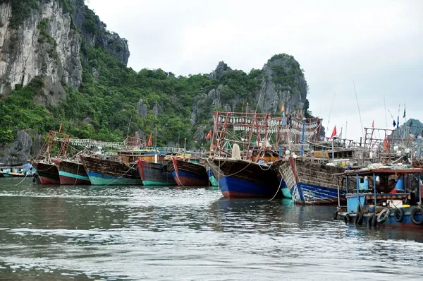 Bí quyết chọn đặc sản khi đi du lịch Hạ Long theo tháng