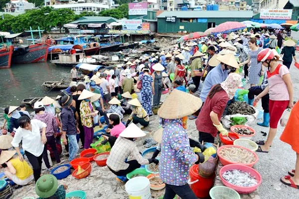 Bí quyết khi đi du lịch Hạ Long tự túc vào dịp Tết