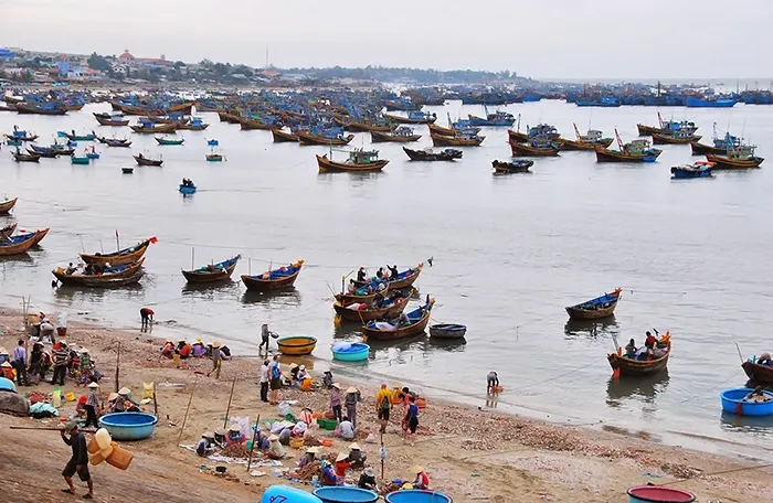 Bí quyết khi đi du lịch Mũi Né vào dịp tết