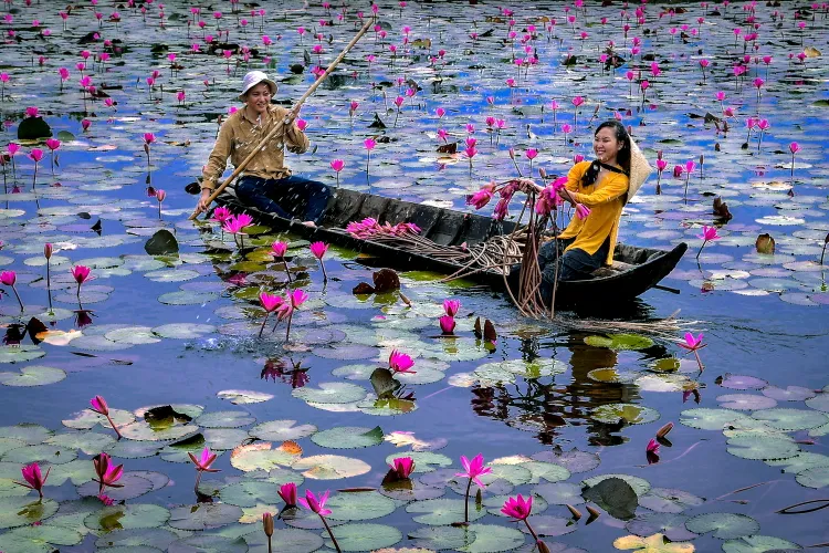 ​Bông súng – “Đặc sản mùa nước nổi” ở miền Tây