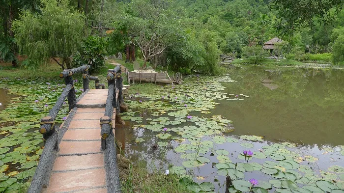 ​Cẩm nang khi đi du lịch Huế tự túc vào dịp Tết