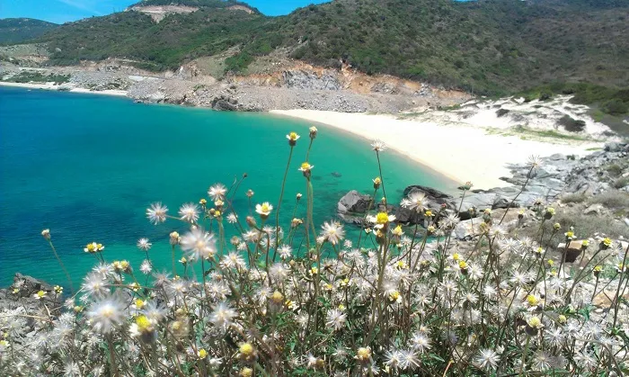 ​Cẩm nang khi đi du lịch Nha Trang theo mùa