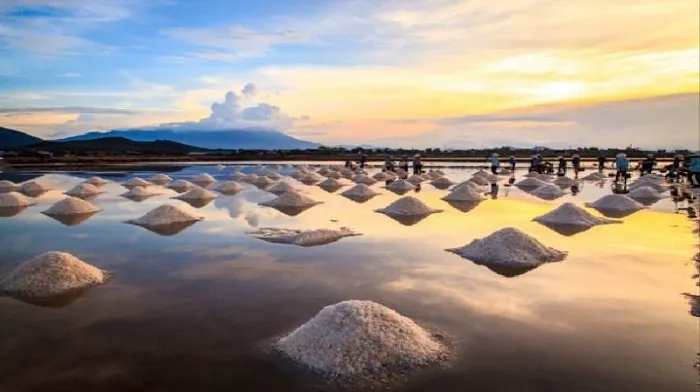 Cánh đồng muối - địa điểm du lịch "mới toanh" ở Bạc Liêu