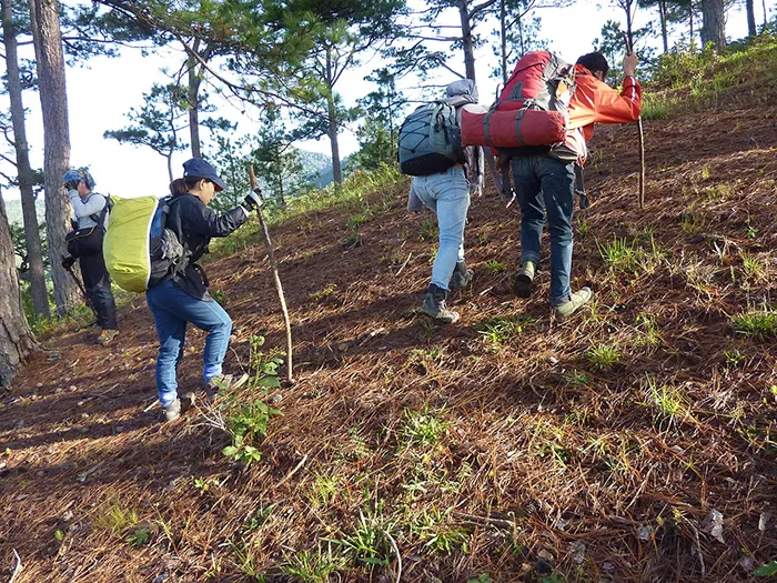 Chia sẻ những kinh nghiệm khi đi du lịch langbiang Đà Lạt từ A đến Z