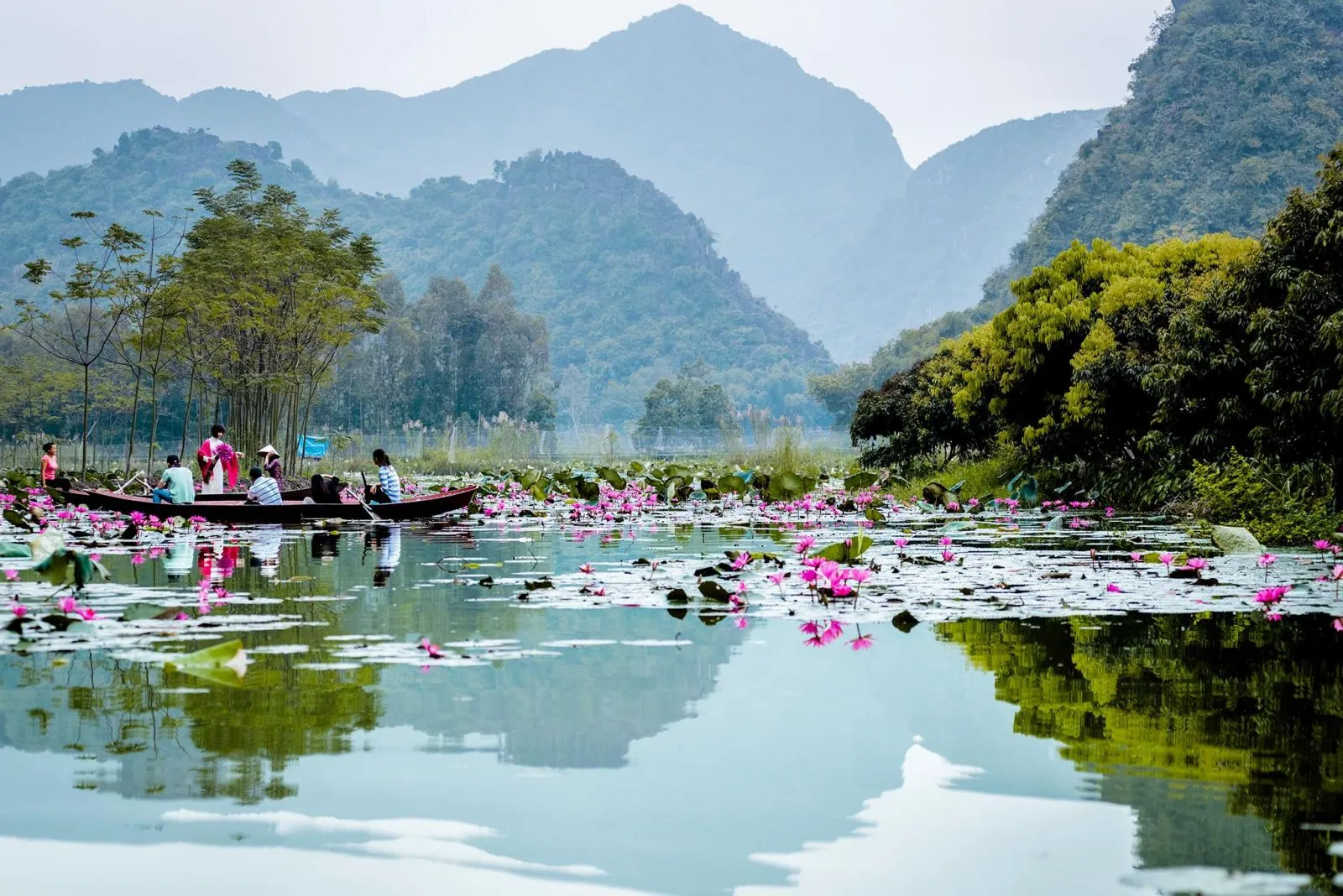 Chùa Hương thuộc tỉnh nào? Du khách đã biết chưa?