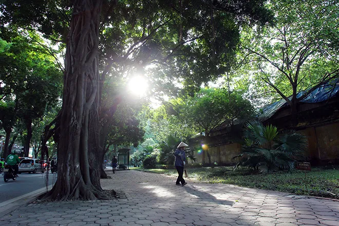 Có một Hà Nội mùa thu tình tới độ khiến bạn ngẩn ngơ quên lối về