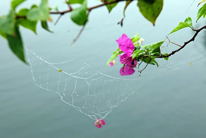 Có một Hà Nội mùa thu tình tới độ khiến bạn ngẩn ngơ quên lối về