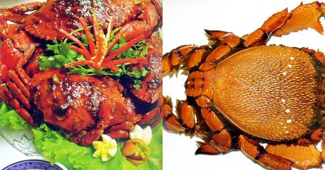 Cuối tuần vi vu đảo Phú Quý hoang sơ ở Mũi Né - Phan Thiết