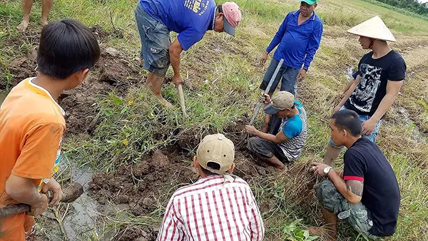 Đặc sản chuột đồng miền tây - món ăn nên thử 1 lần trong đời