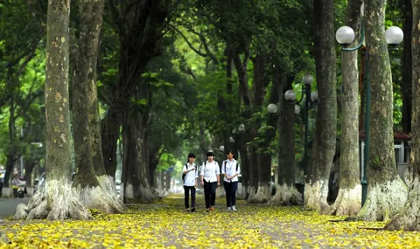 Đặc sản Hà Nội - Sấu Hà Nội