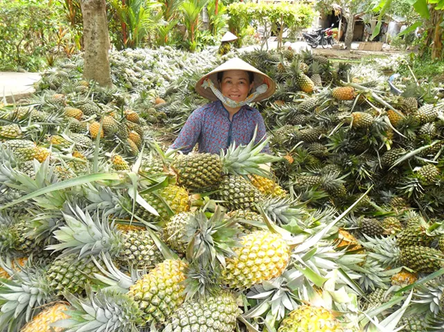 Đặc Sản Hậu Giang – Khóm Cầu Đúc