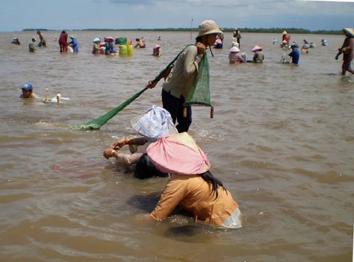 Đặc sản Huế - Mắm sò Lăng Cô