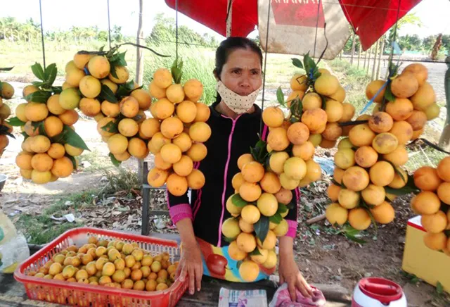 Đặc sản Vĩnh Long – Thanh Trà