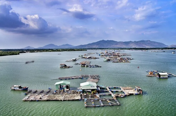 Đảo Long Sơn – “thiên đường” ẩm thực phố bè độc đáo của Vũng Tàu