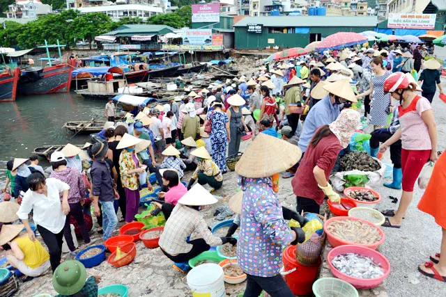 Đi du lịch Hạ Long tiết kiệm