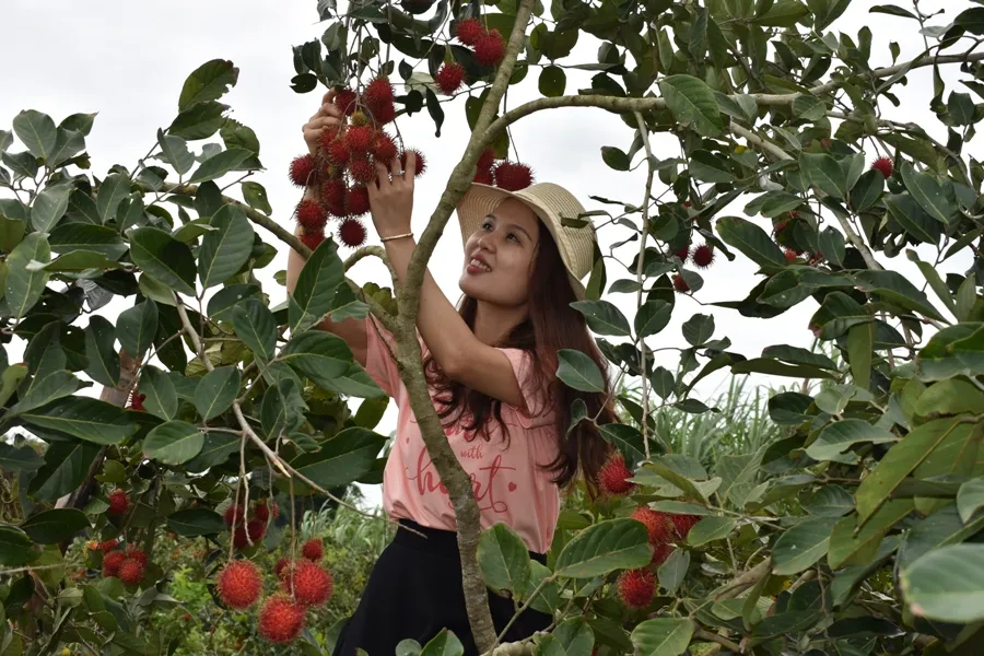 Đi du lịch miền Tây có gì hay? Du khách đã biết chưa?