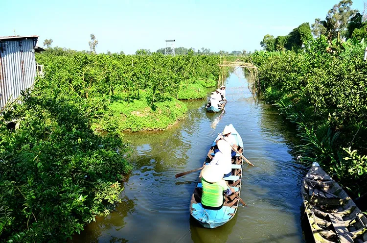 Đi Hồng Ngự Đồng Tháp có gì chơi?