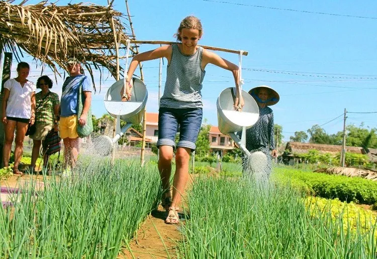 Đi Hồng Ngự Đồng Tháp có gì chơi?