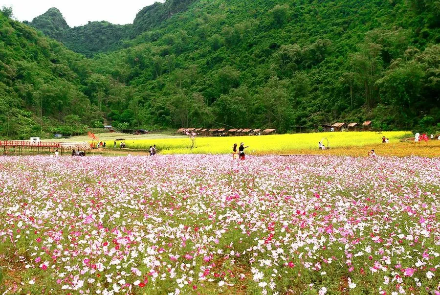 Địa chỉ Hang Tiên Sa Pa nằm ở đâu?