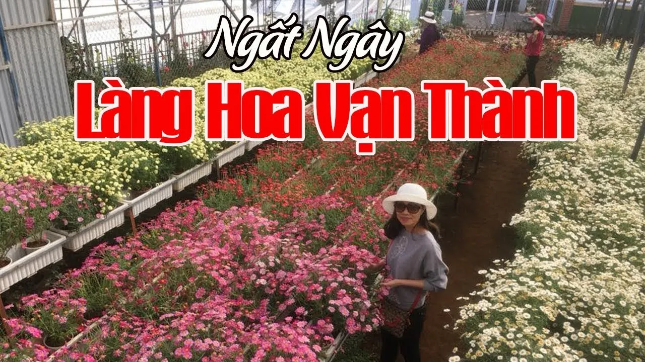 Địa chỉ làng hoa Vạn Thành Đà Lạt ở đâu?