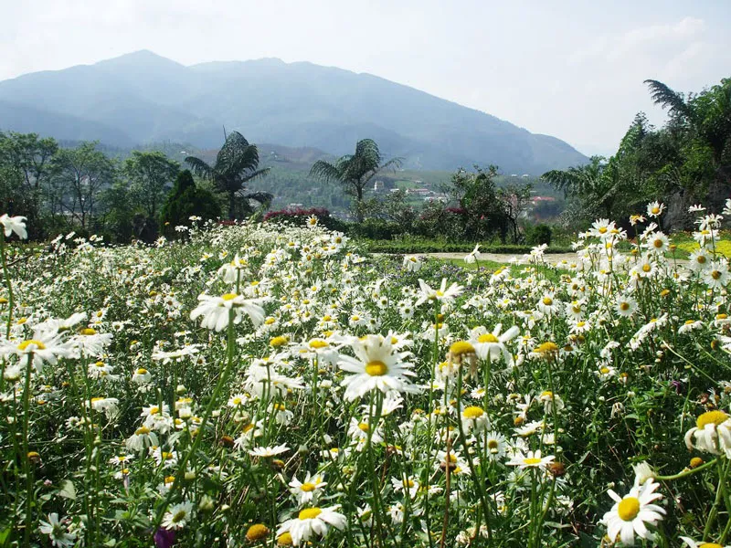 Địa chỉ núi Hàm Rồng nằm ở đâu?