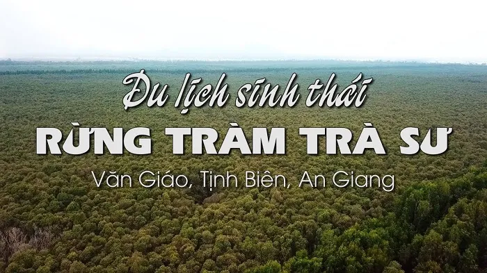 Địa chỉ rừng tràm Trà Sư ở đâu? Du khách đã biết chưa?