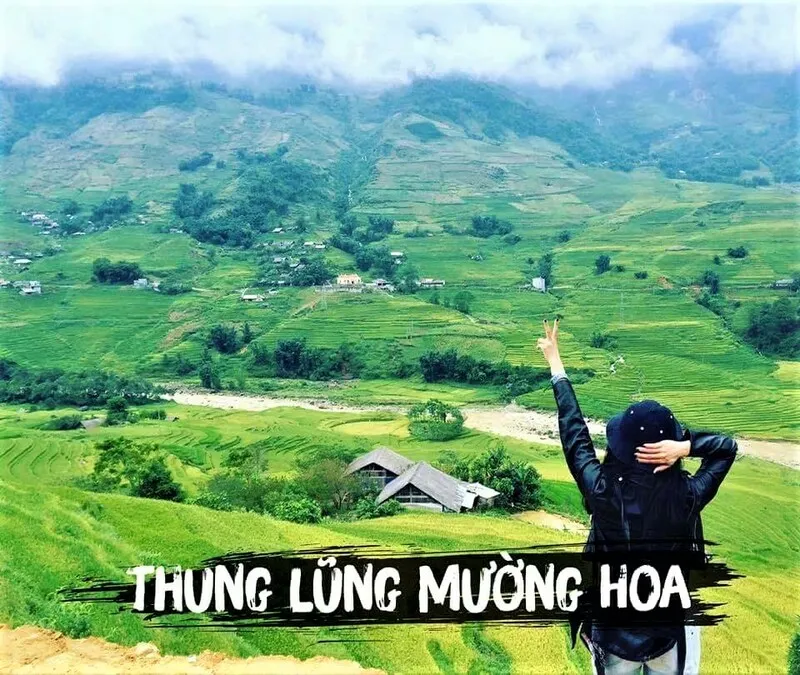 Địa chỉ thung lũng Mường Hoa nằm ở đâu?