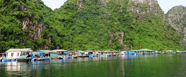 Địa điểm du lịch Hạ Long - Làng chài Ba Hang