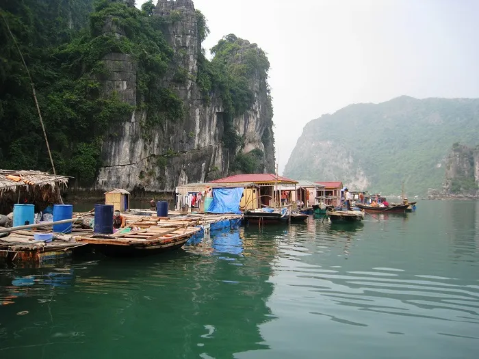 Địa điểm du lịch Hạ Long - Làng chài Vung Viêng