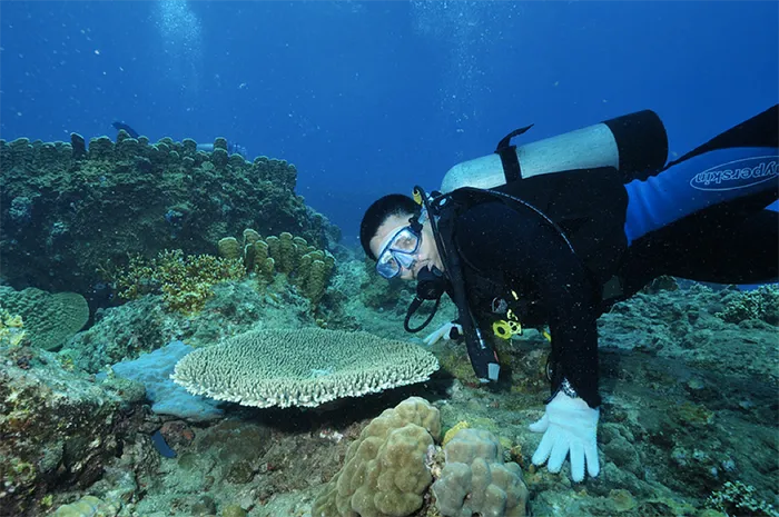 ​Địa điểm du lịch Nha Trang - Khu du lịch Con Sẻ Tre