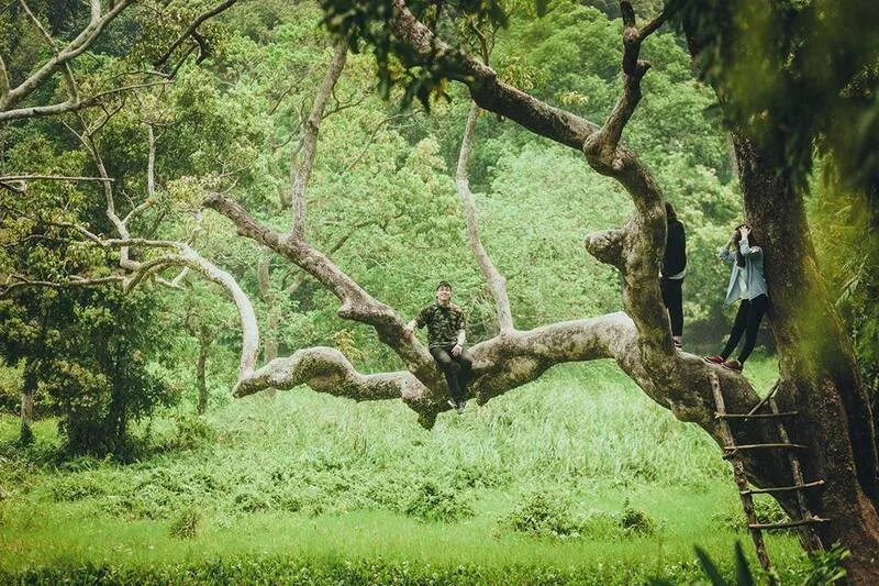 “Điểm mặt” Top 10 khu du lịch sinh thái ở Đà Nẵng không thể bỏ qua