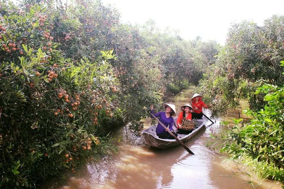 "Điểm mặt" TOP 10 khu vườn trái cây tham quan miễn phí ở Cần Thơ