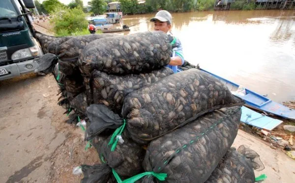 ​"Điểm mặt" TOP 4 chợ “độc” vào mùa nước nổi ở miền Tây