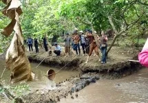 "Điểm mặt" Top 8 ngôi chùa nổi tiếng linh thiêng ở Cà Mau