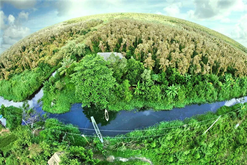 Điều gì làm hệ sinh thái rừng ngập mặn Cà Mau thu hút đến thế?