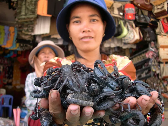 Du Lịch An Giang - Chợ Tịnh Biên